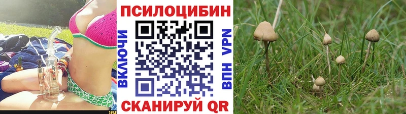 Галлюциногенные грибы ЛСД  Невельск 